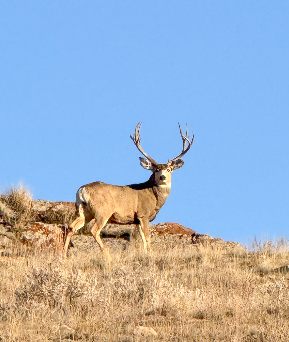 M Spear Ranch property picture 6 of 92