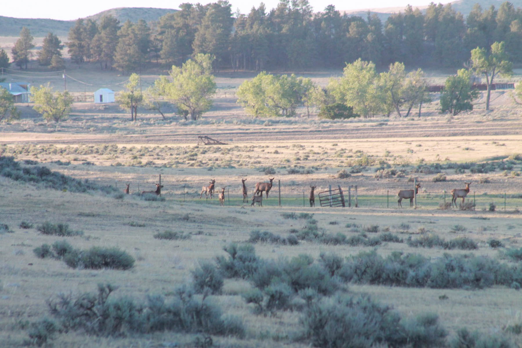 M Spear Ranch property picture 15 of 92