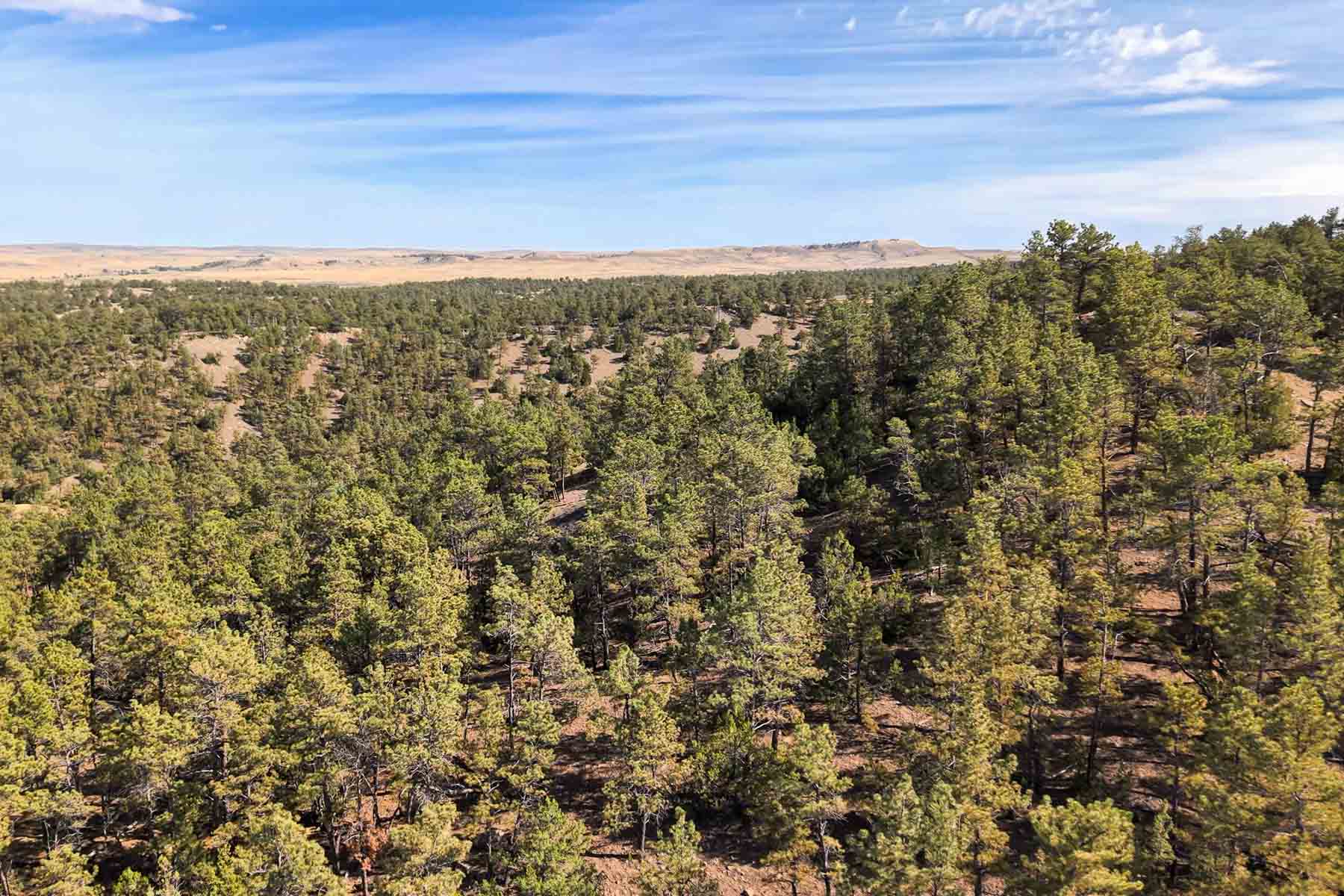 M Spear Ranch property picture 20 of 92