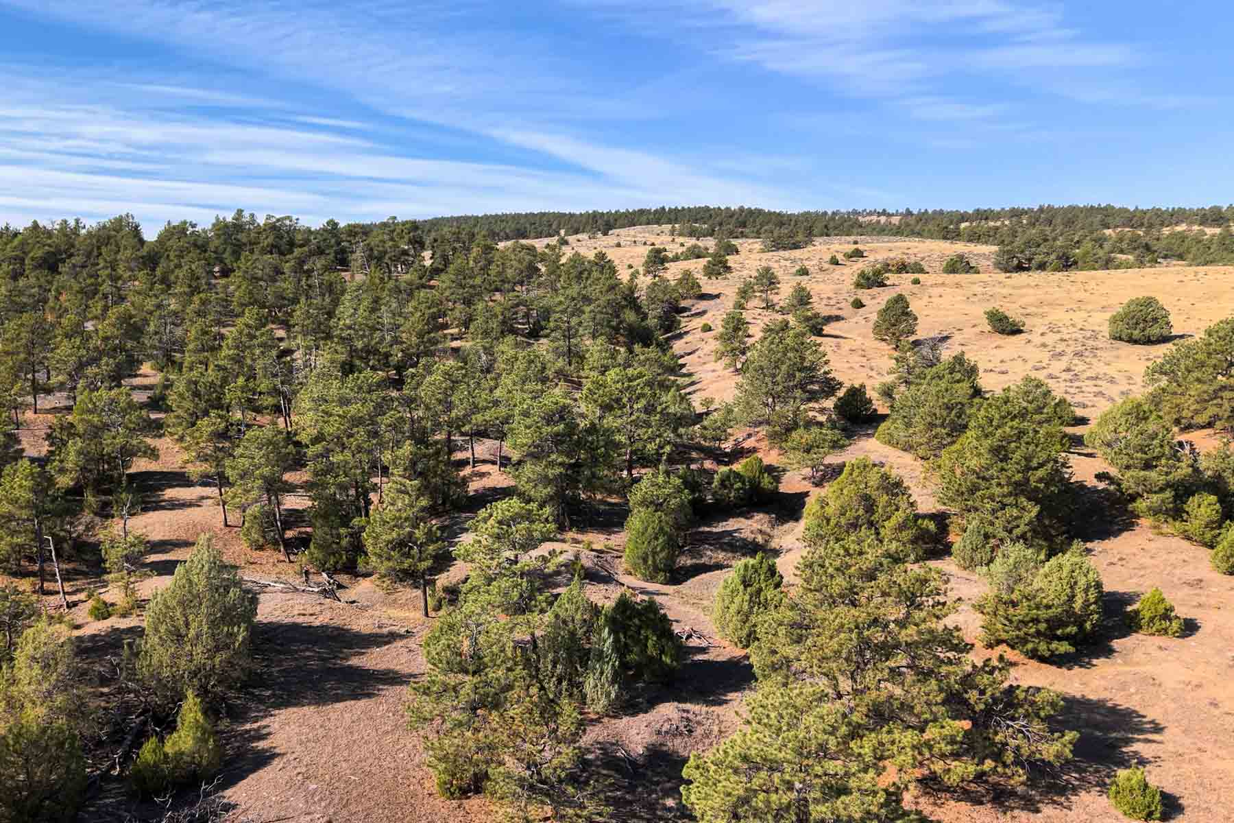 M Spear Ranch property picture 35 of 92