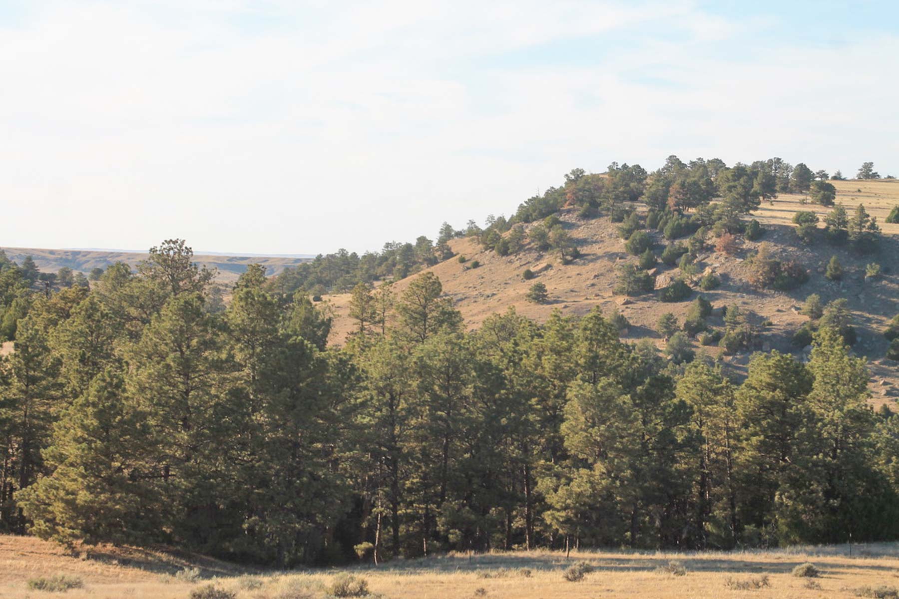 M Spear Ranch property picture 32 of 92