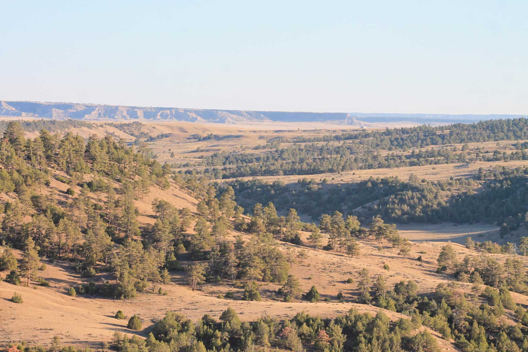 M Spear Ranch property picture 11 of 92