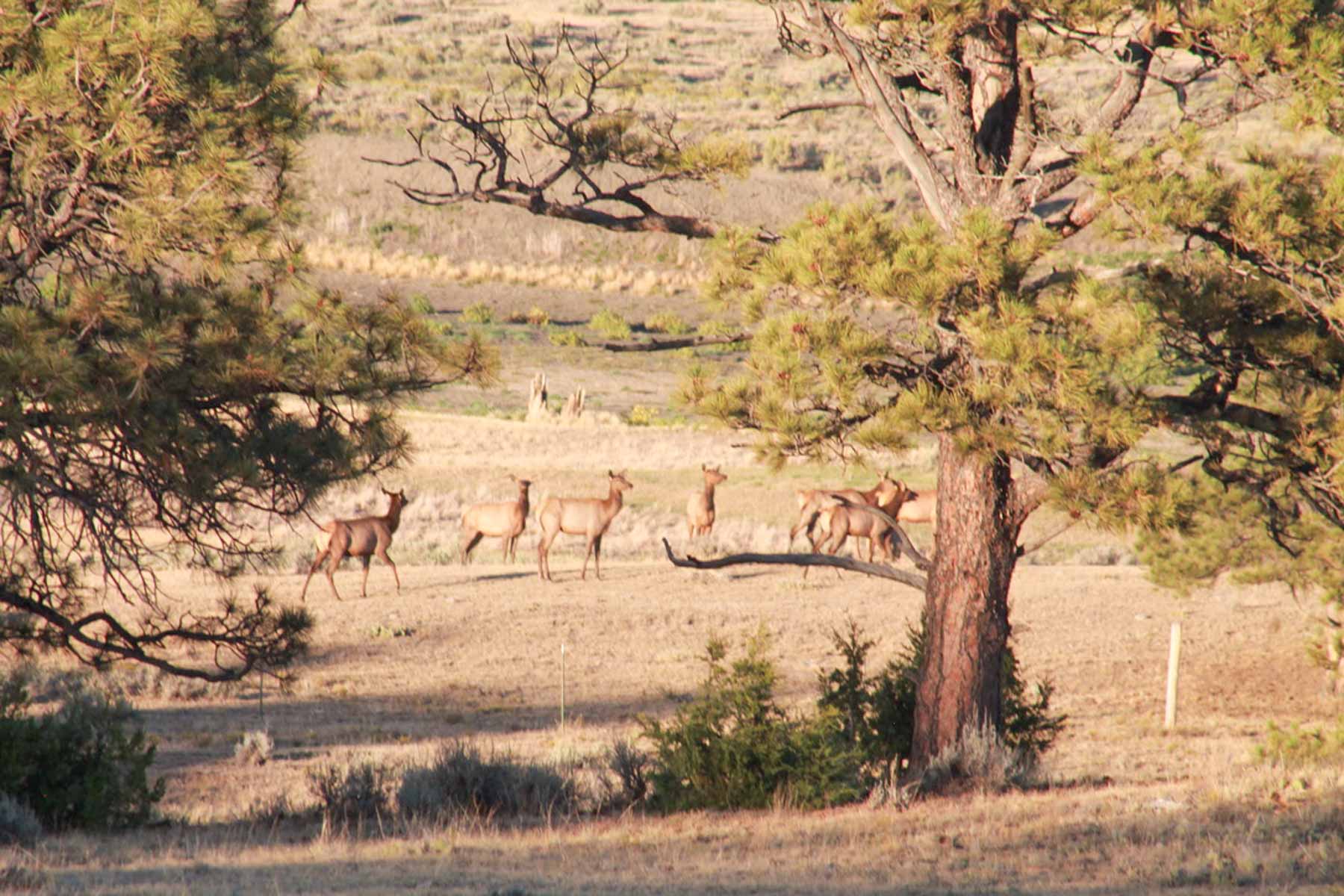 M Spear Ranch property picture 59 of 92
