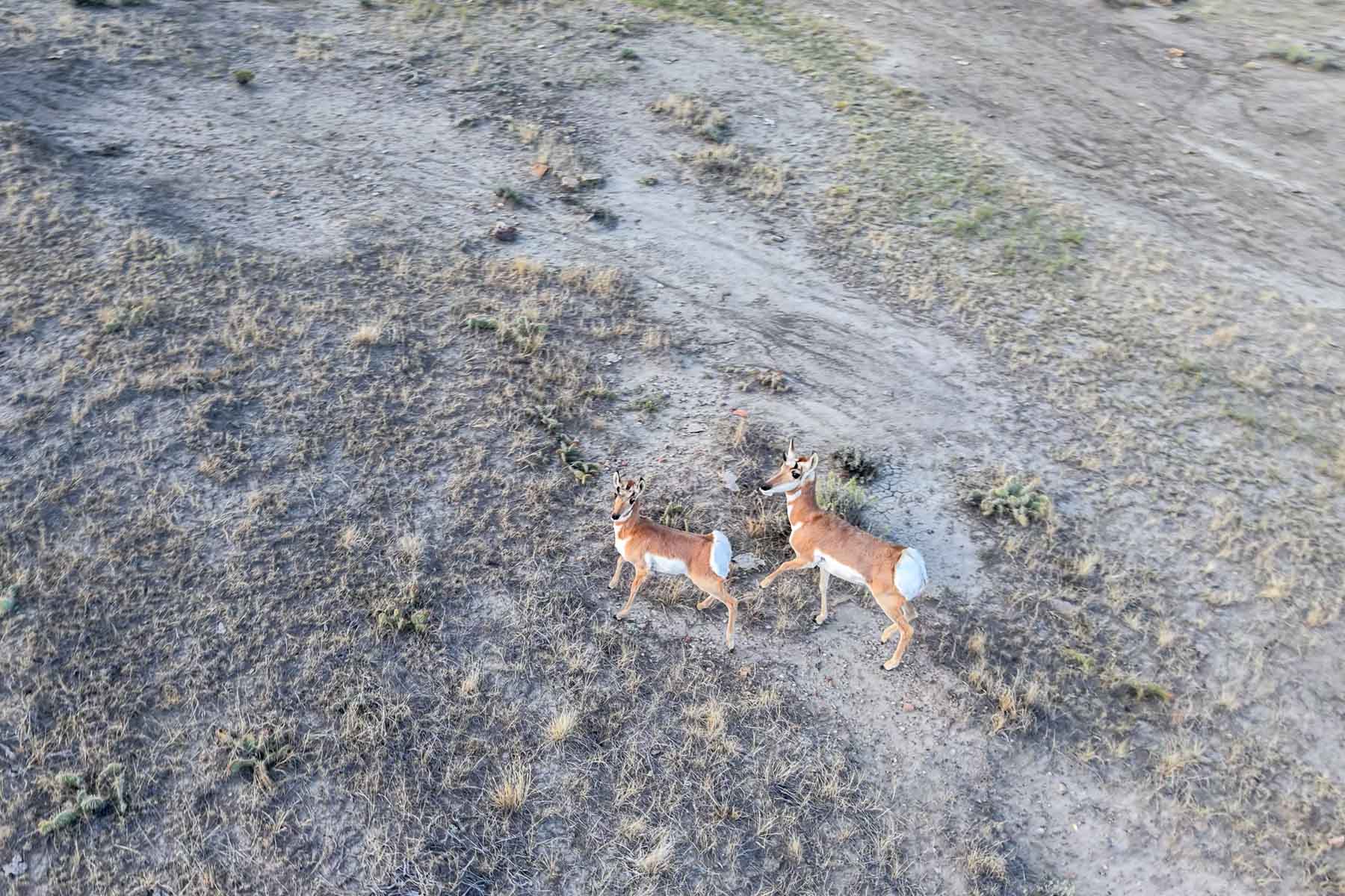 M Spear Ranch property picture 49 of 92