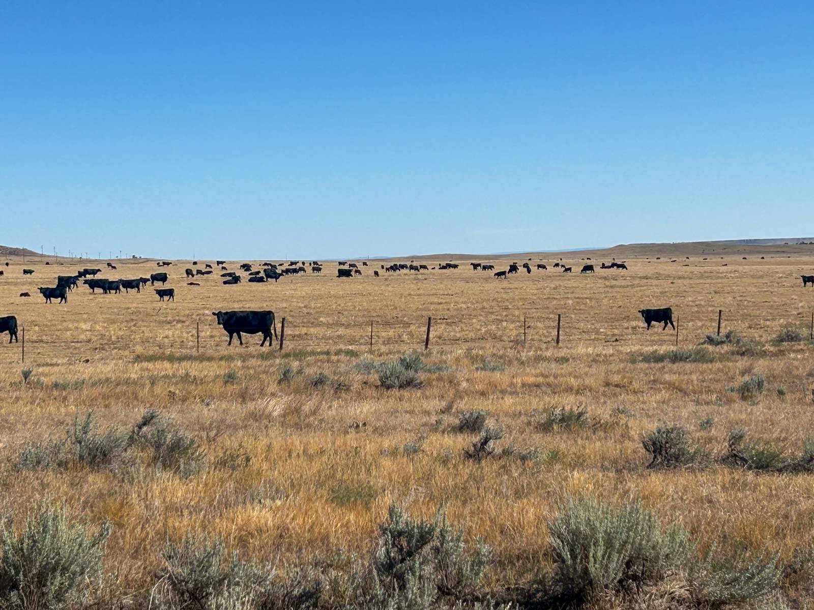 M Spear Ranch property picture 70 of 92