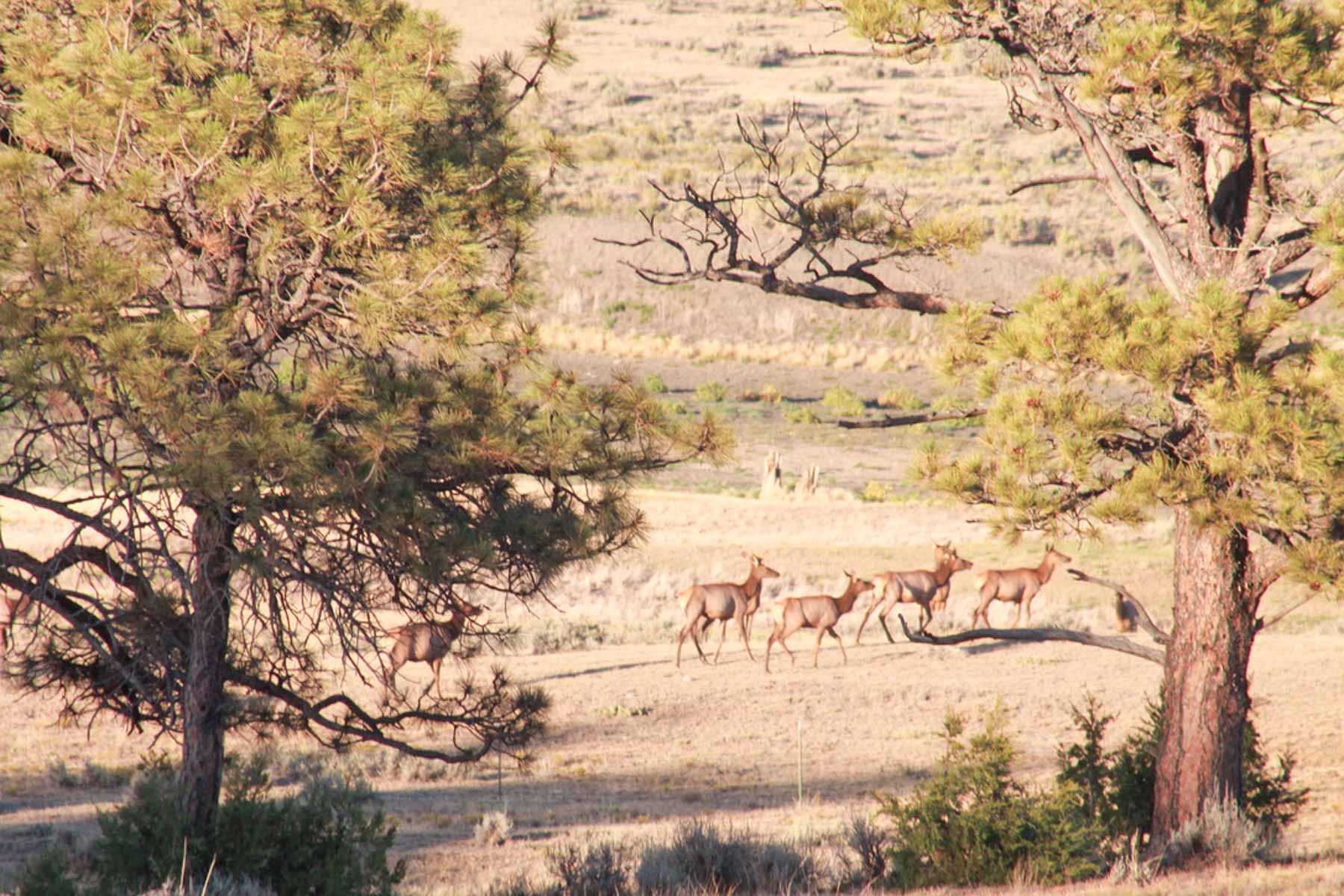 M Spear Ranch property picture 57 of 92