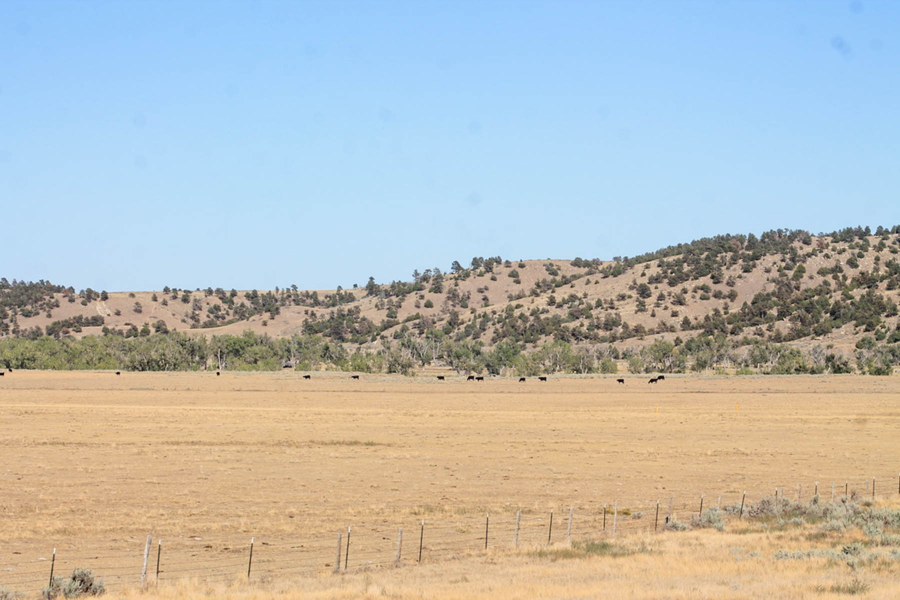 M Spear Ranch property picture 53 of 92