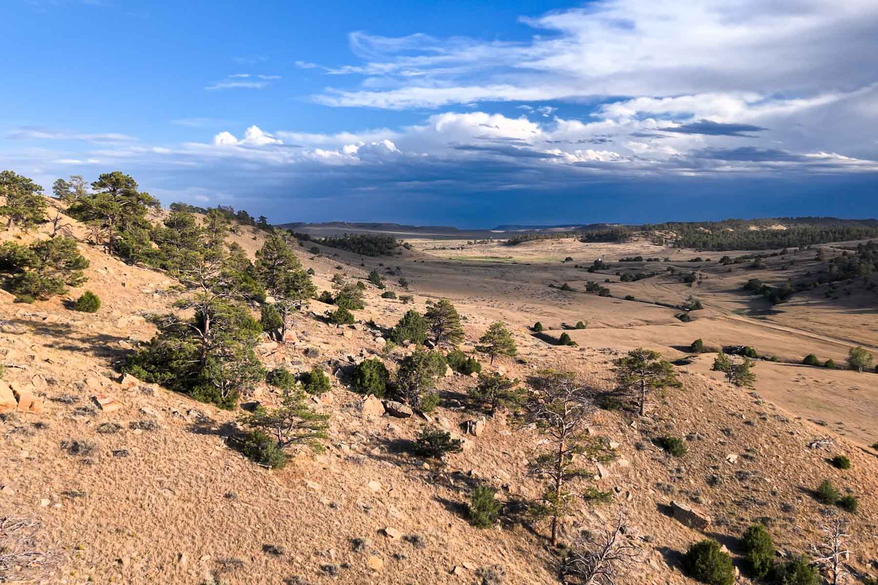 M Spear Ranch property picture 21 of 92