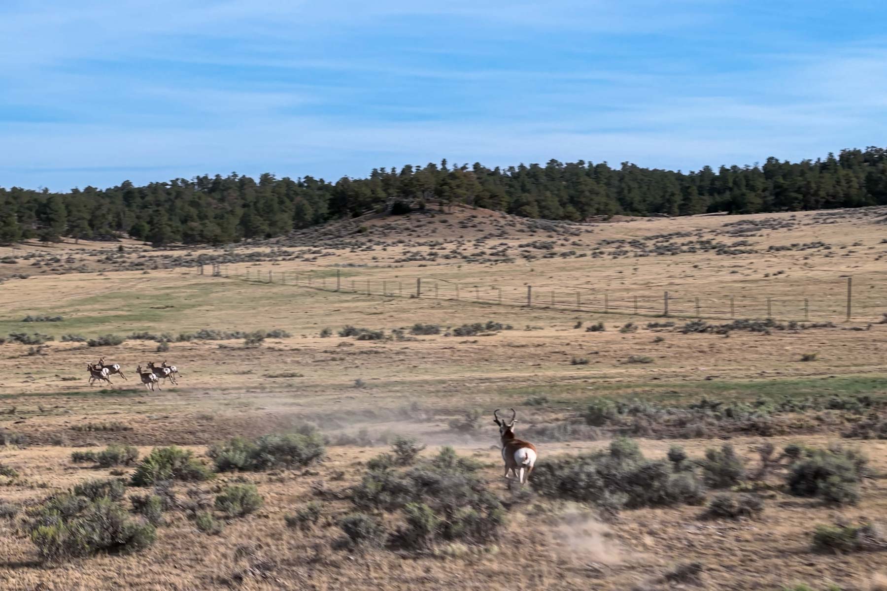 M Spear Ranch property picture 40 of 92