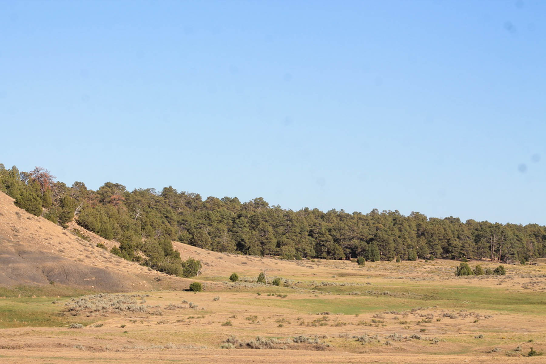 M Spear Ranch property picture 61 of 92