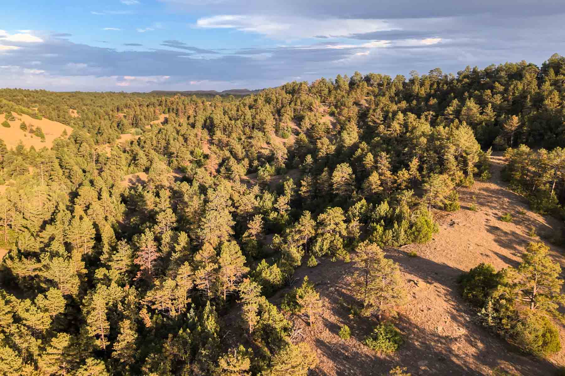 M Spear Ranch property picture 2 of 92