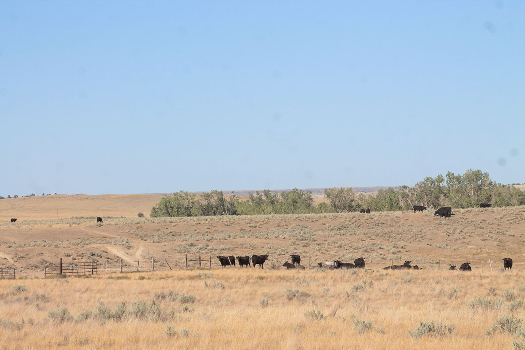 M Spear Ranch property picture 22 of 92