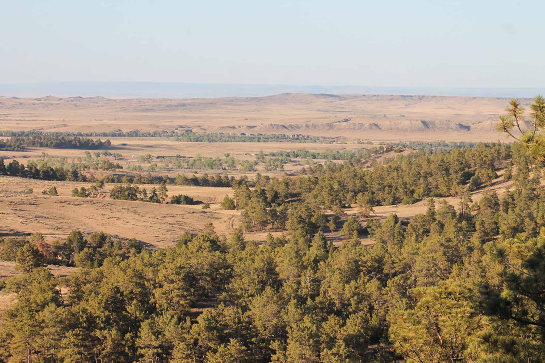 M Spear Ranch property picture 14 of 92