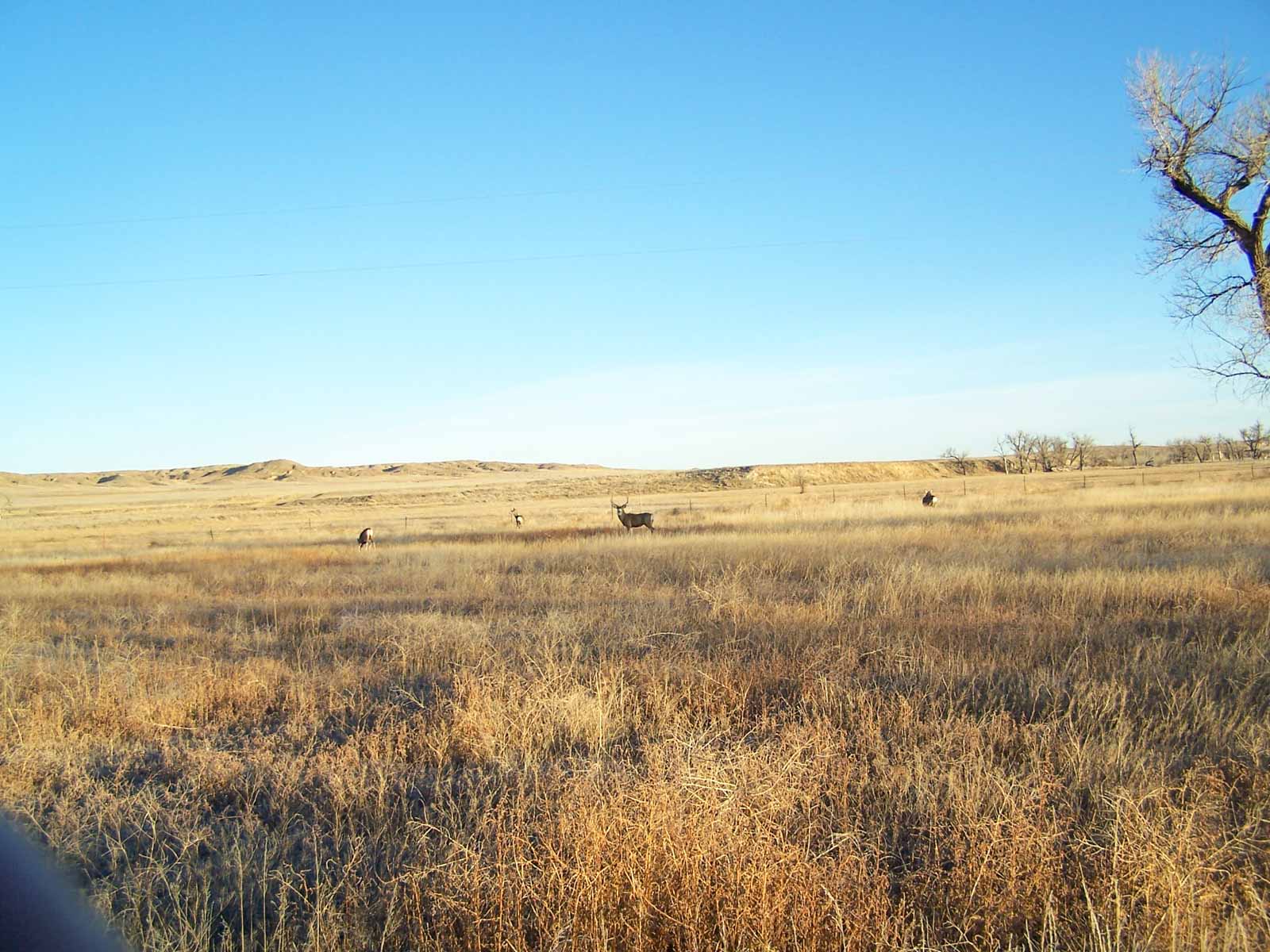M Spear Ranch property picture 3 of 92