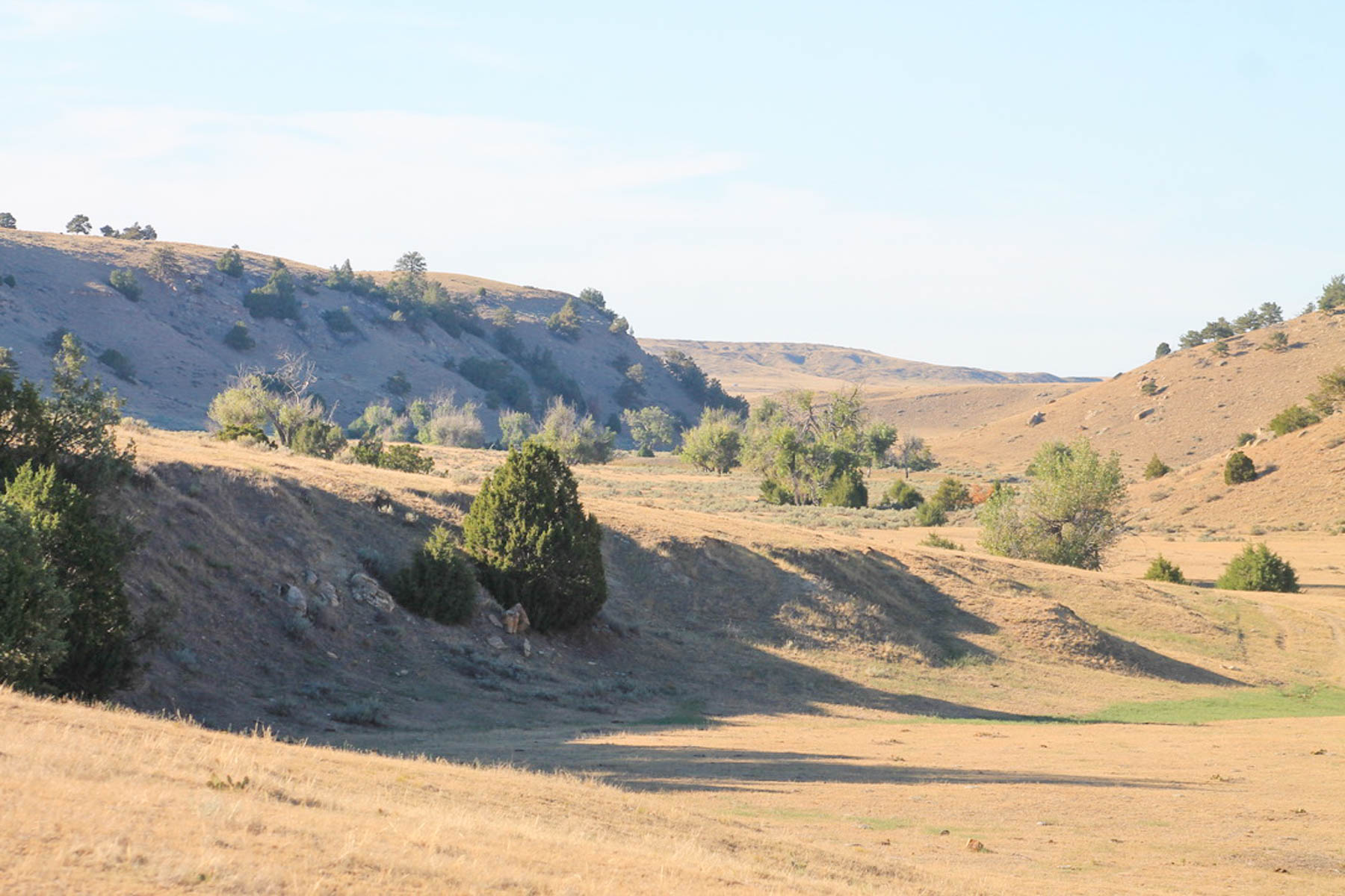 M Spear Ranch property picture 10 of 92