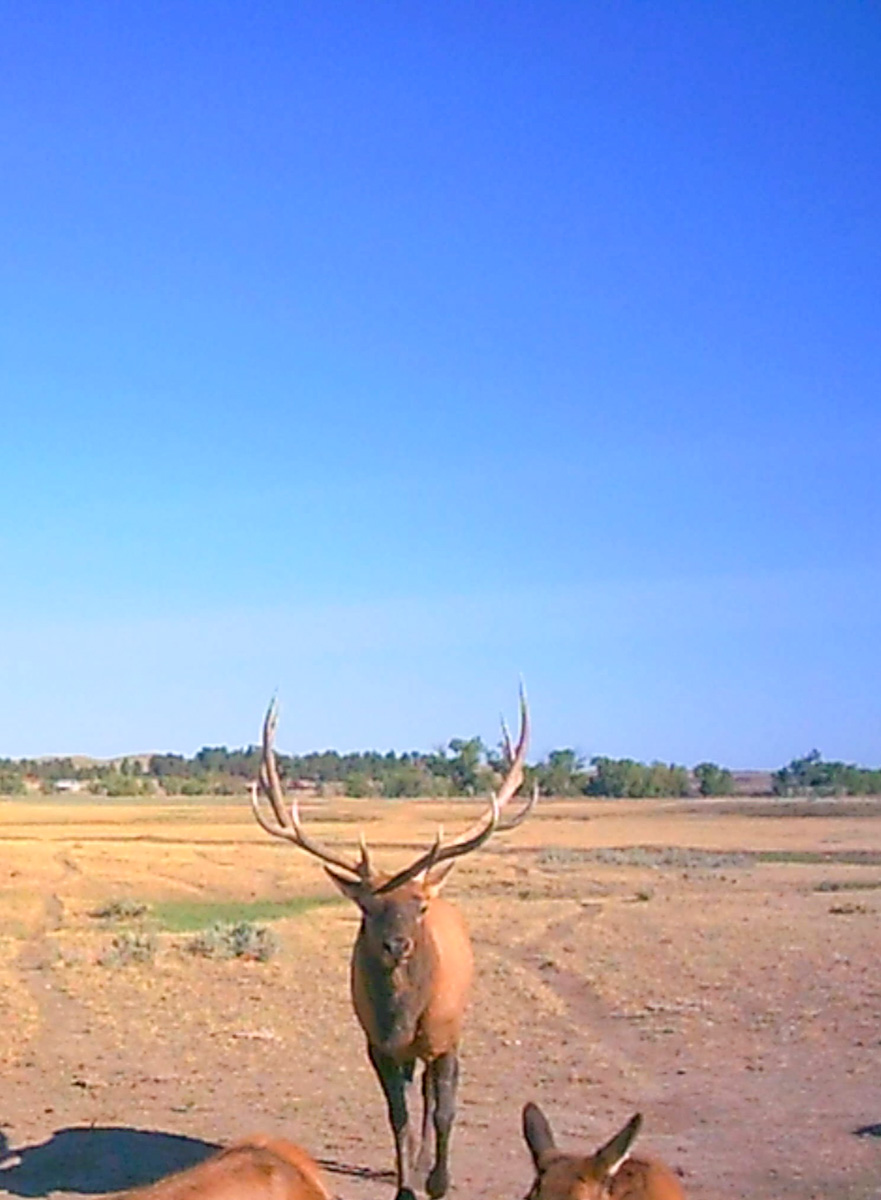 M Spear Ranch property picture 74 of 92