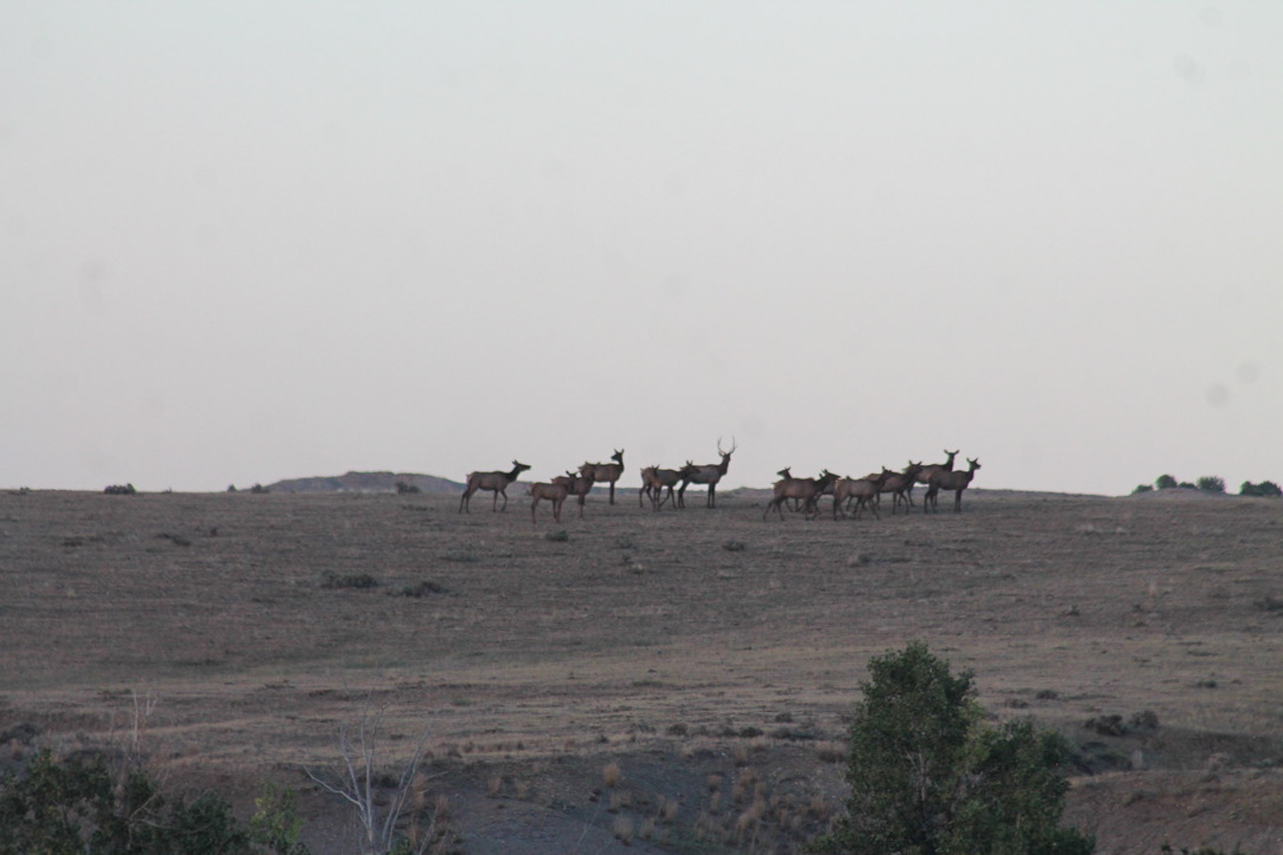 M Spear Ranch property picture 62 of 92