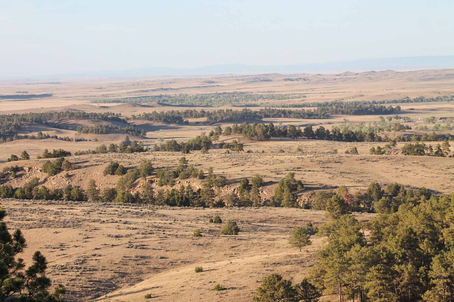 M Spear Ranch property picture 8 of 92