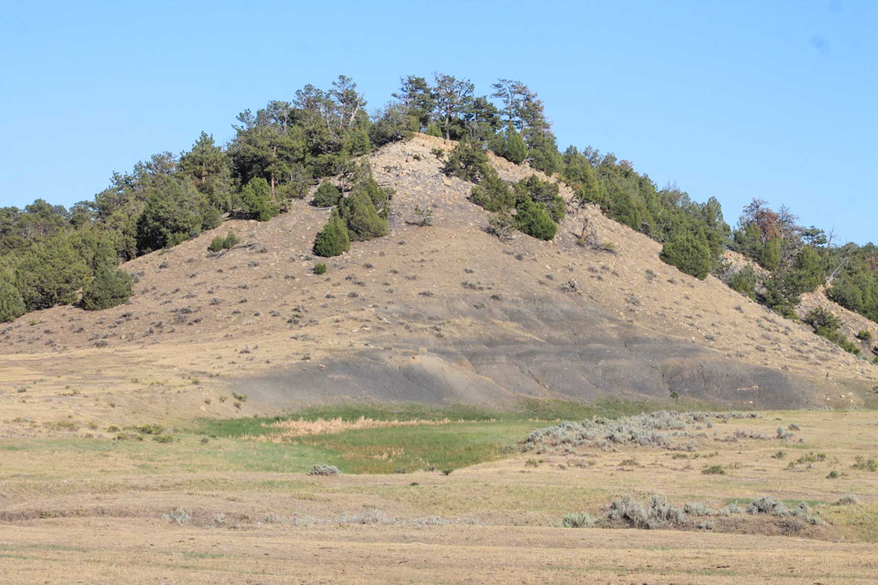 M Spear Ranch property picture 58 of 92