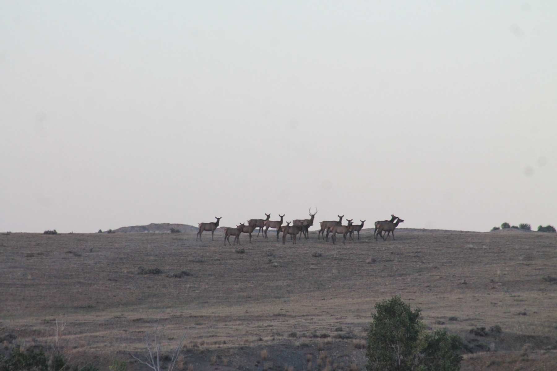 M Spear Ranch property picture 25 of 92