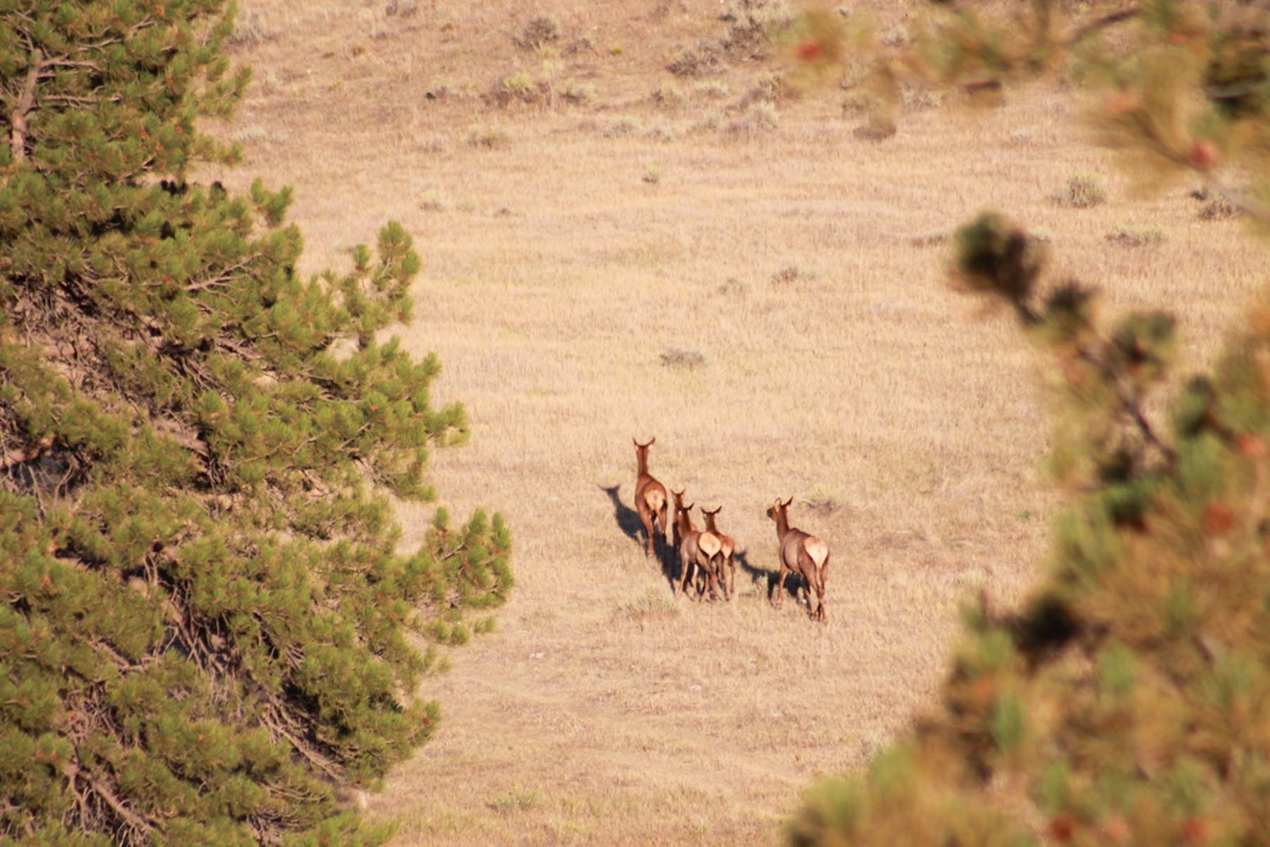 M Spear Ranch property picture 33 of 92