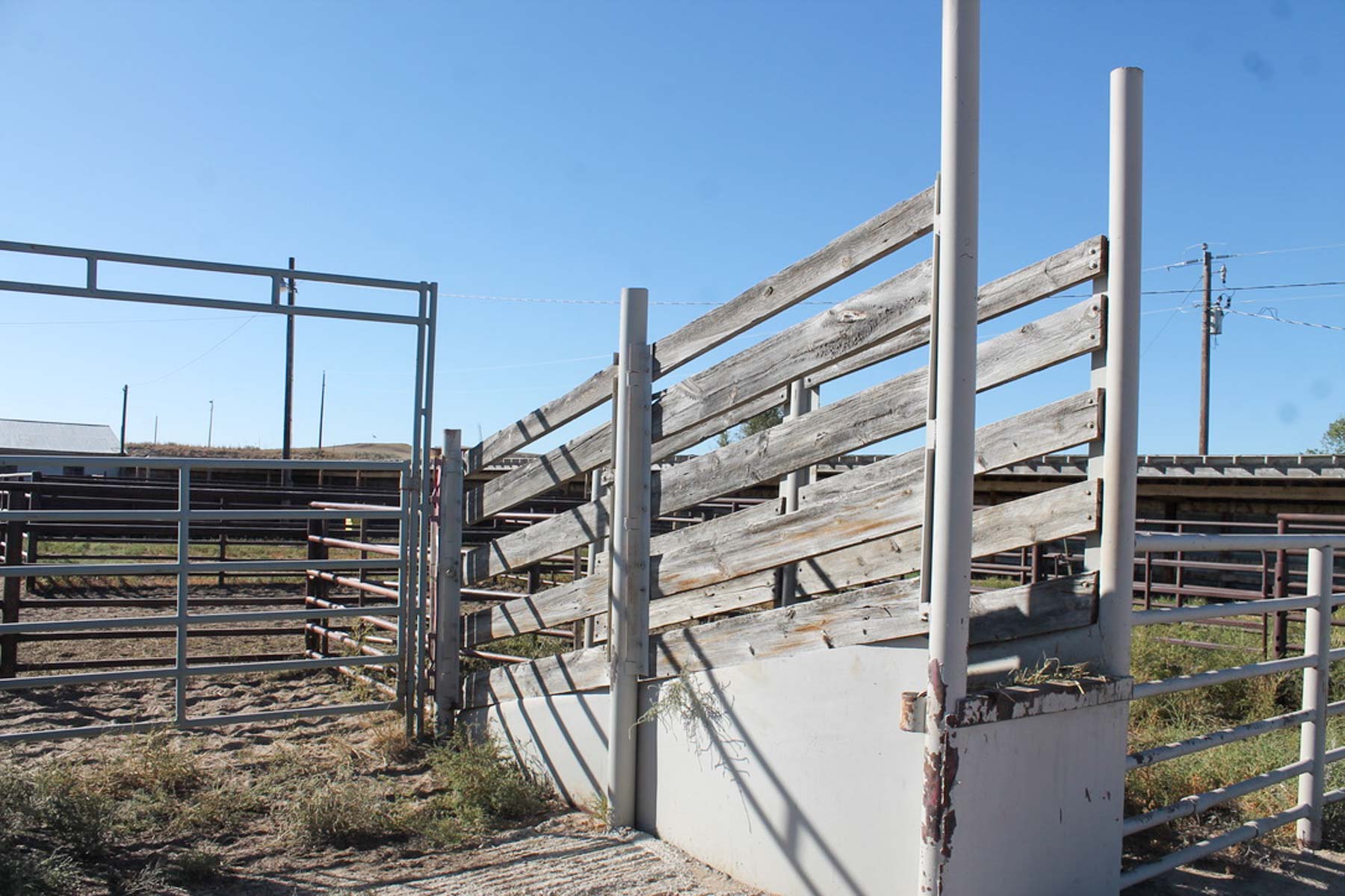 M Spear Ranch property picture 85 of 92