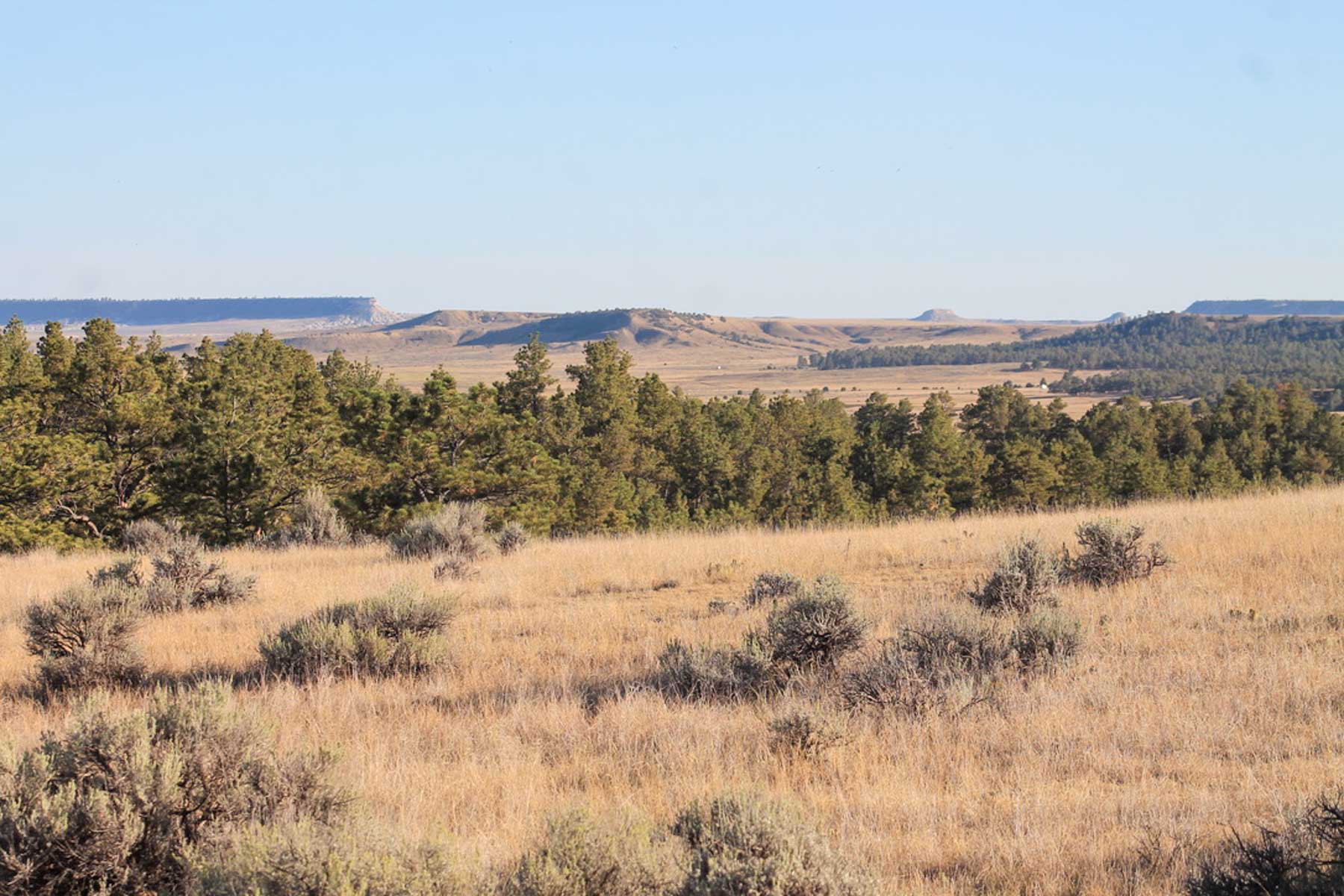 M Spear Ranch property picture 31 of 92