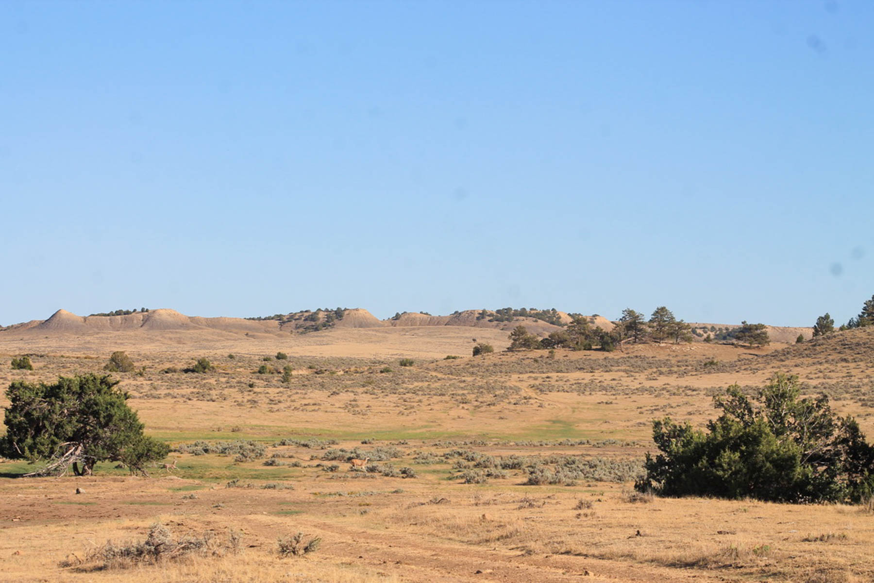 M Spear Ranch property picture 46 of 92