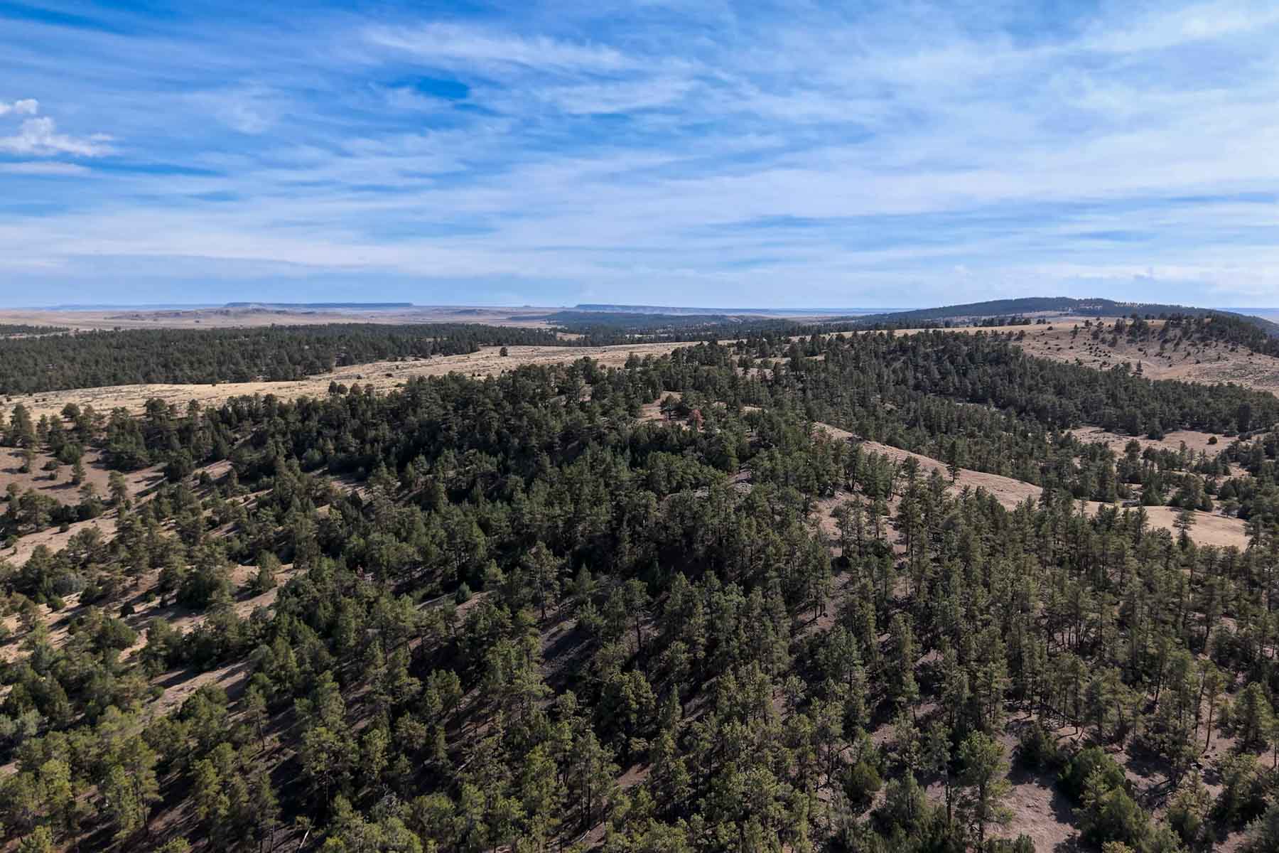 M Spear Ranch property picture 42 of 92