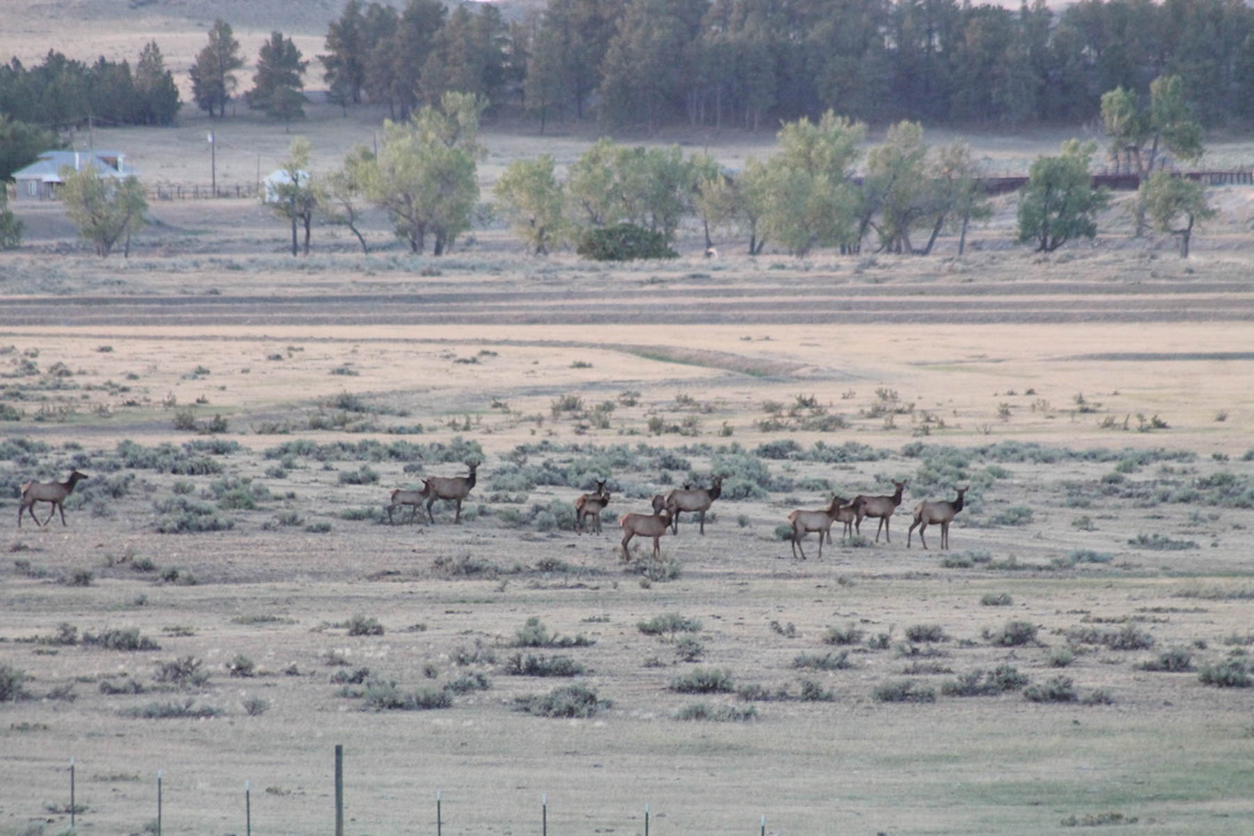 M Spear Ranch property picture 28 of 92