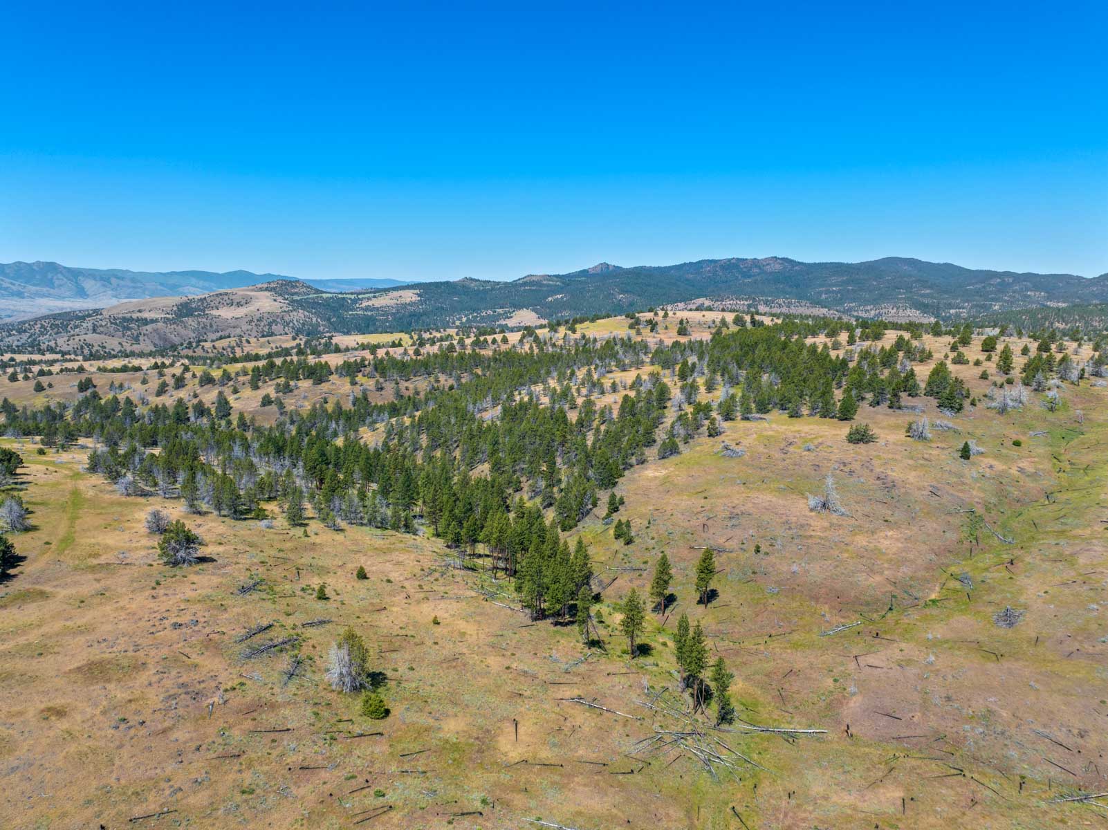Little Beech Creek North property picture 49 of 56
