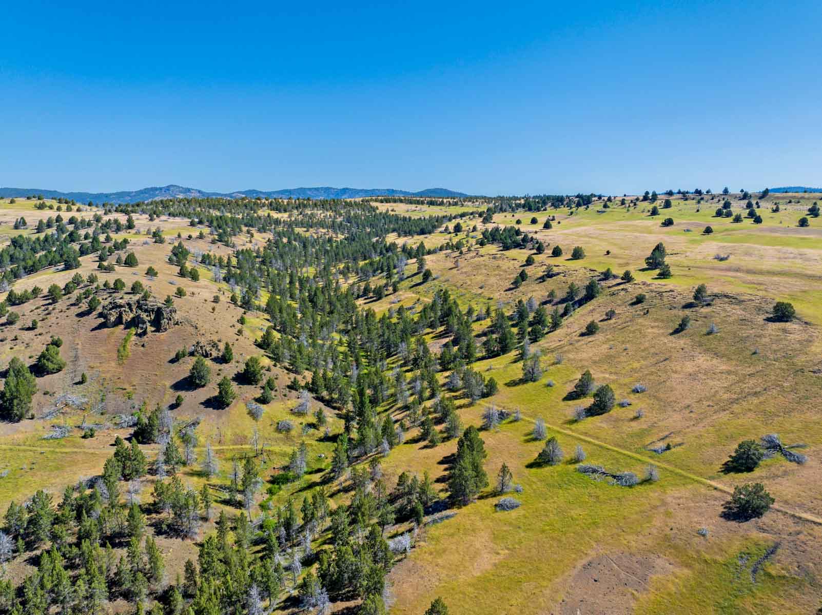 Little Beech Creek North property picture 2 of 56