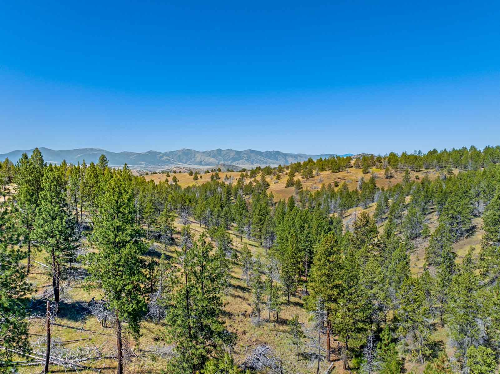 Little Beech Creek North property picture 45 of 56