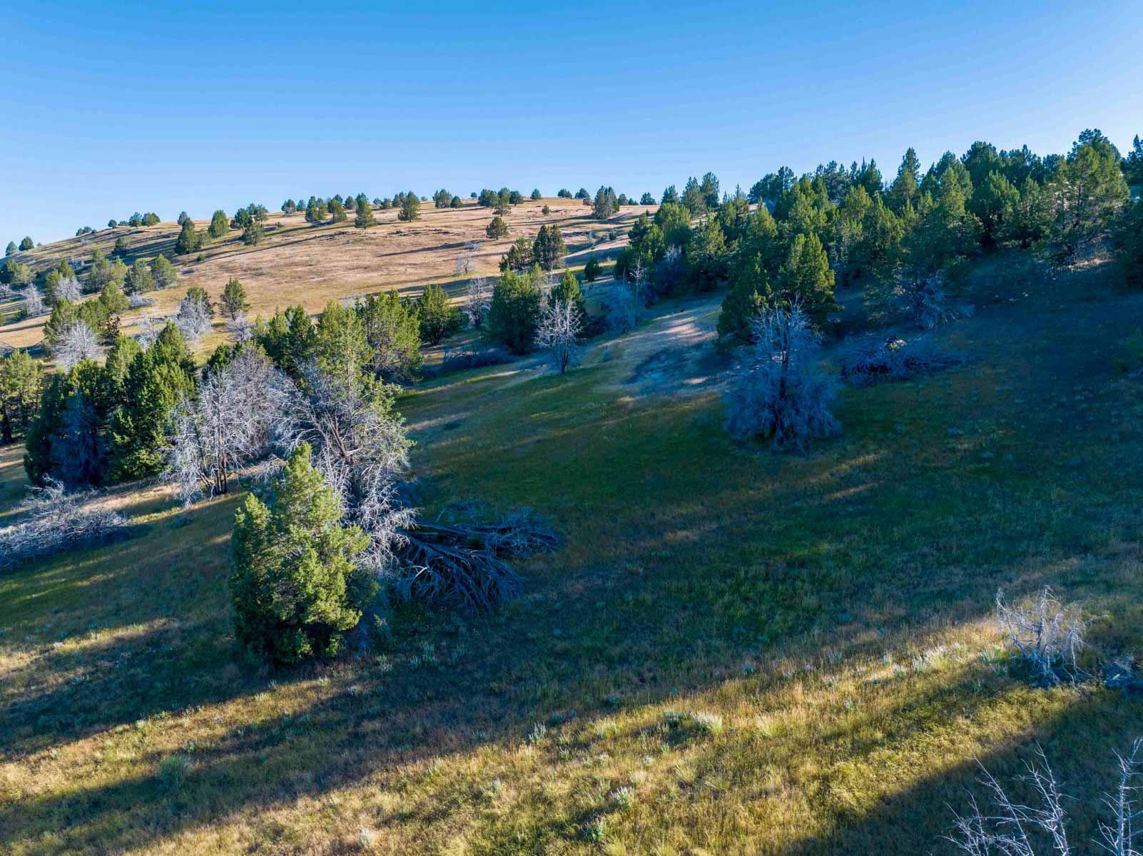 Little Beech Creek North property picture 55 of 56