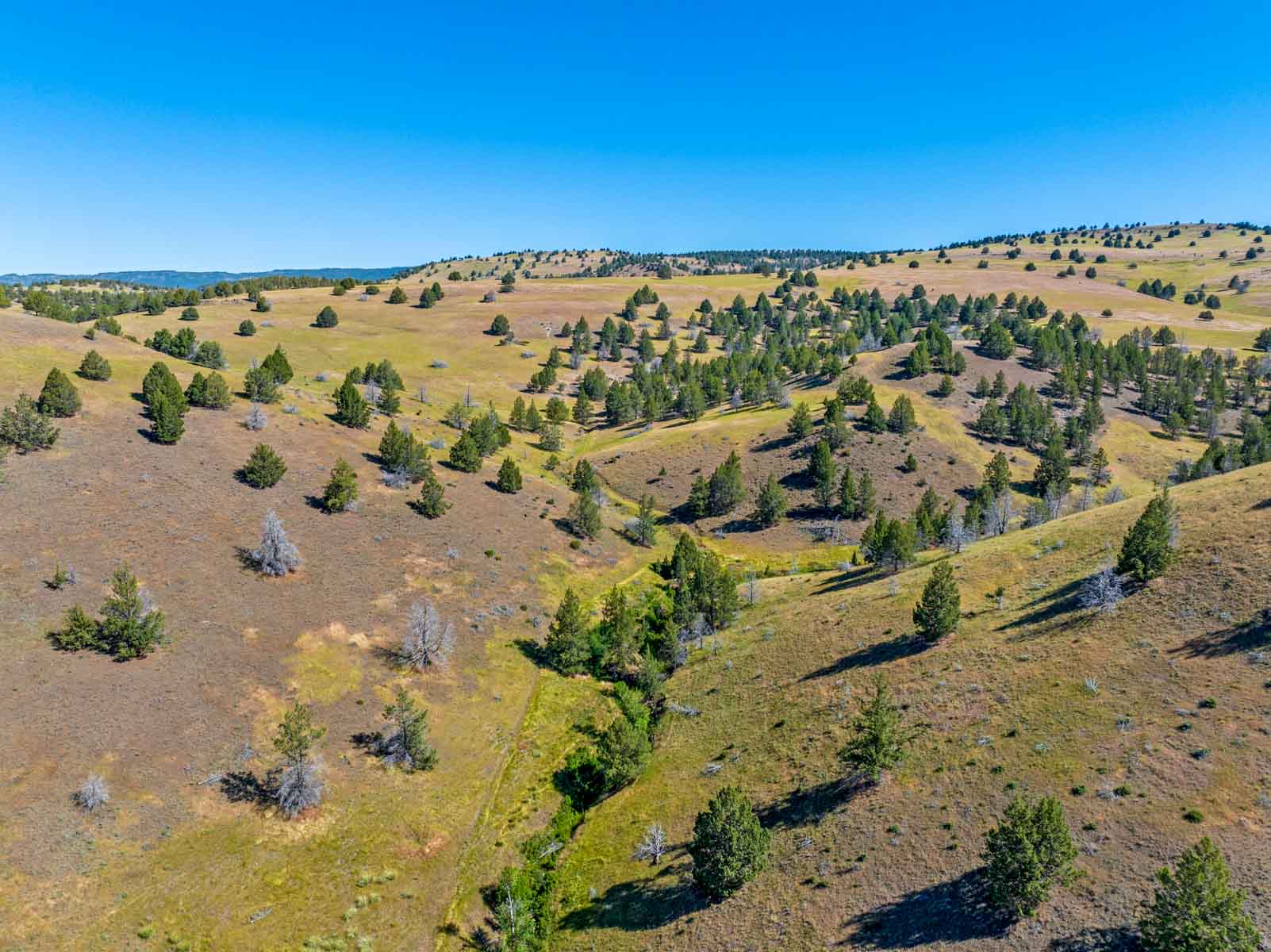Little Beech Creek North property picture 11 of 56