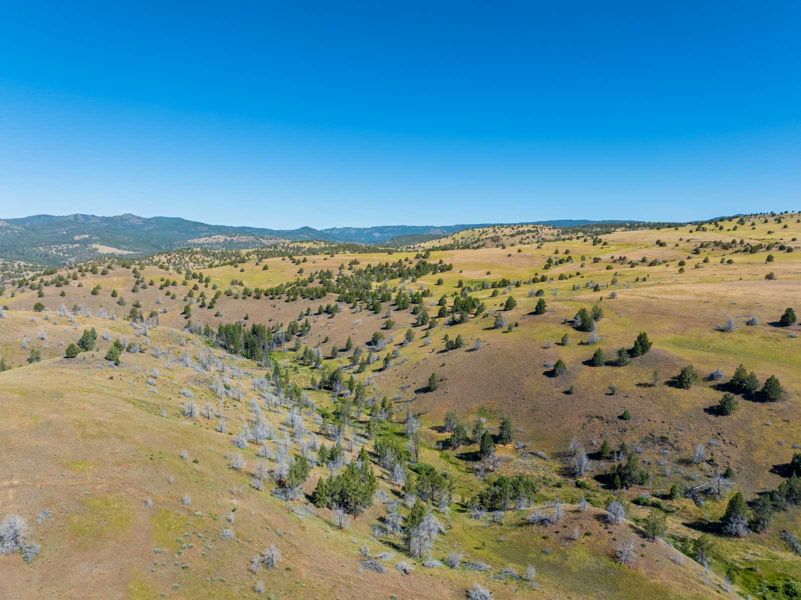 Little Beech Creek North property picture 34 of 56
