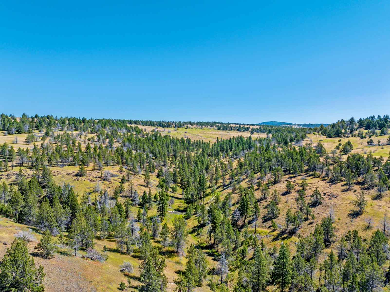 Little Beech Creek North property picture 7 of 56