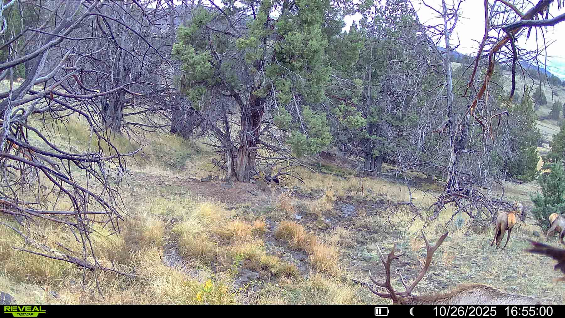 Little Beech Creek North property picture 29 of 56