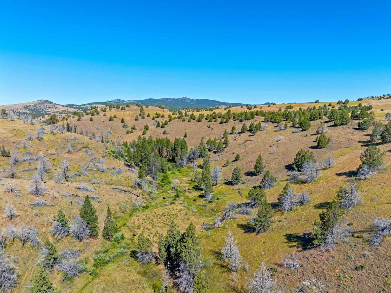 Little Beech Creek North property picture 36 of 56