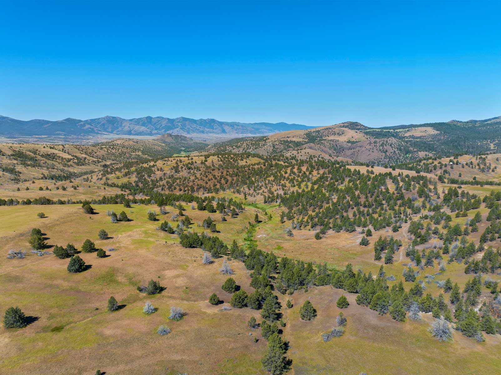 Little Beech Creek North property picture 43 of 56