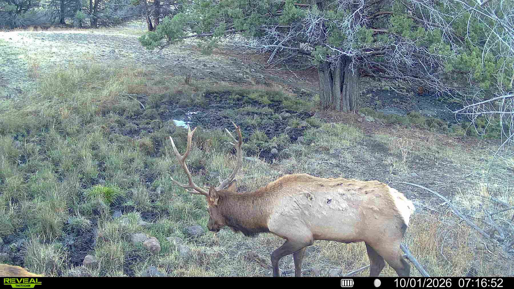 Little Beech Creek North property picture 27 of 56