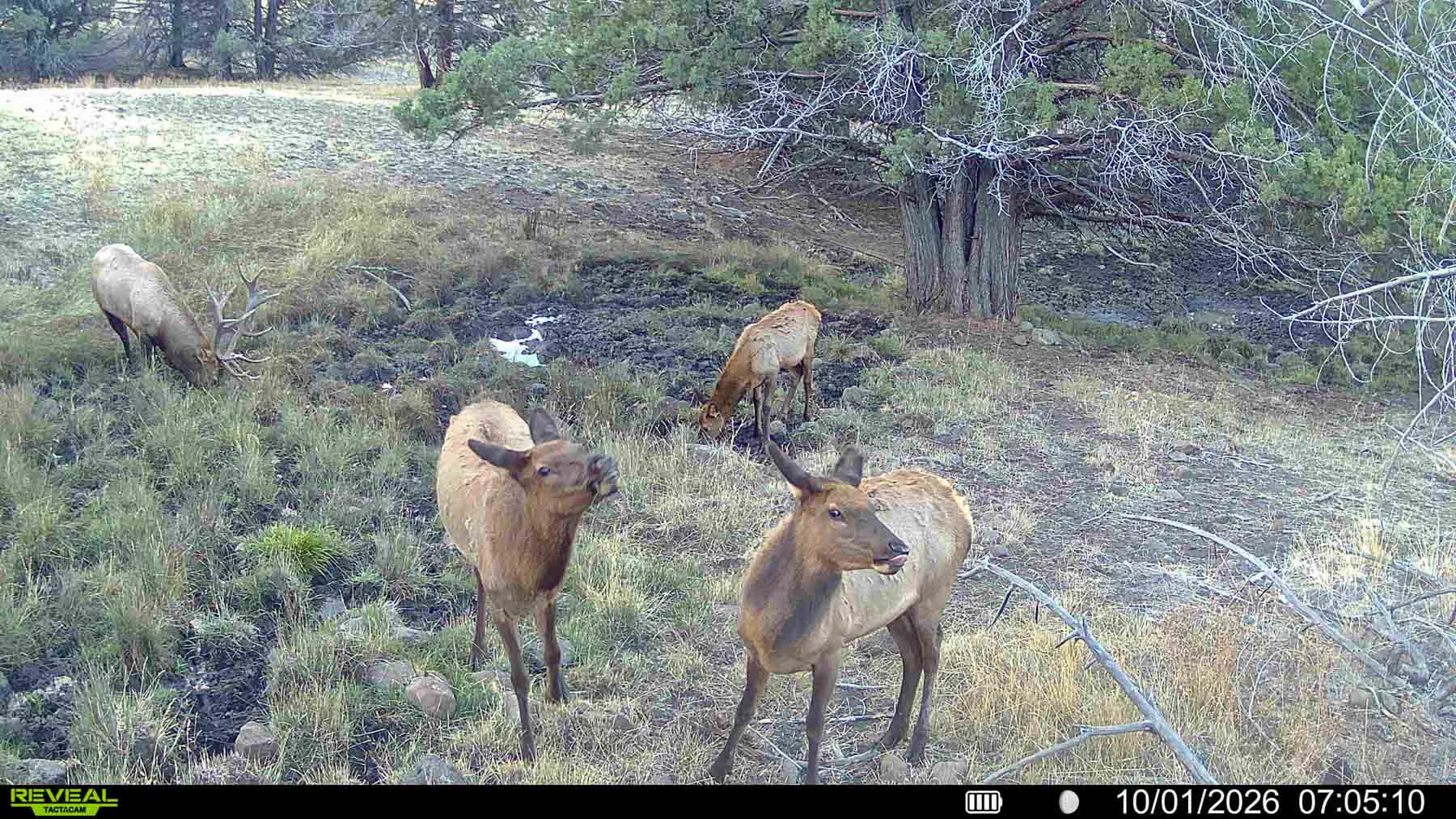 Little Beech Creek North property picture 26 of 56