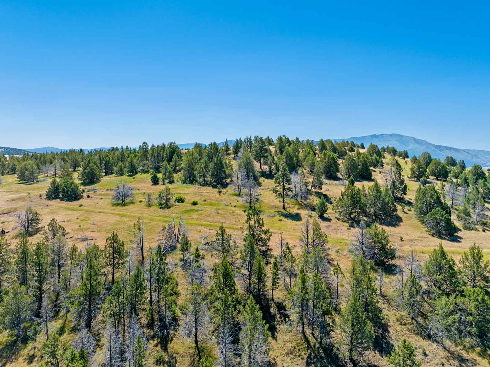 Little Beech Creek North property picture 46 of 56