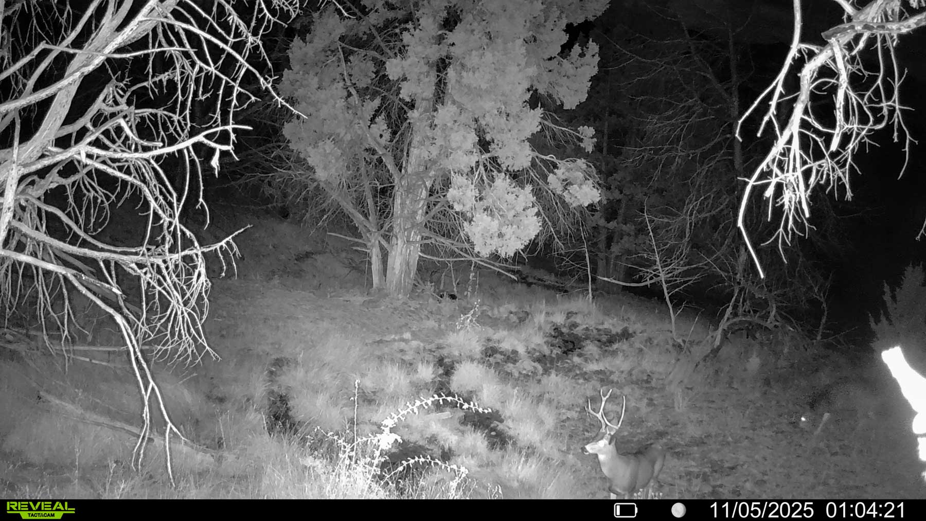 Little Beech Creek North property picture 33 of 56