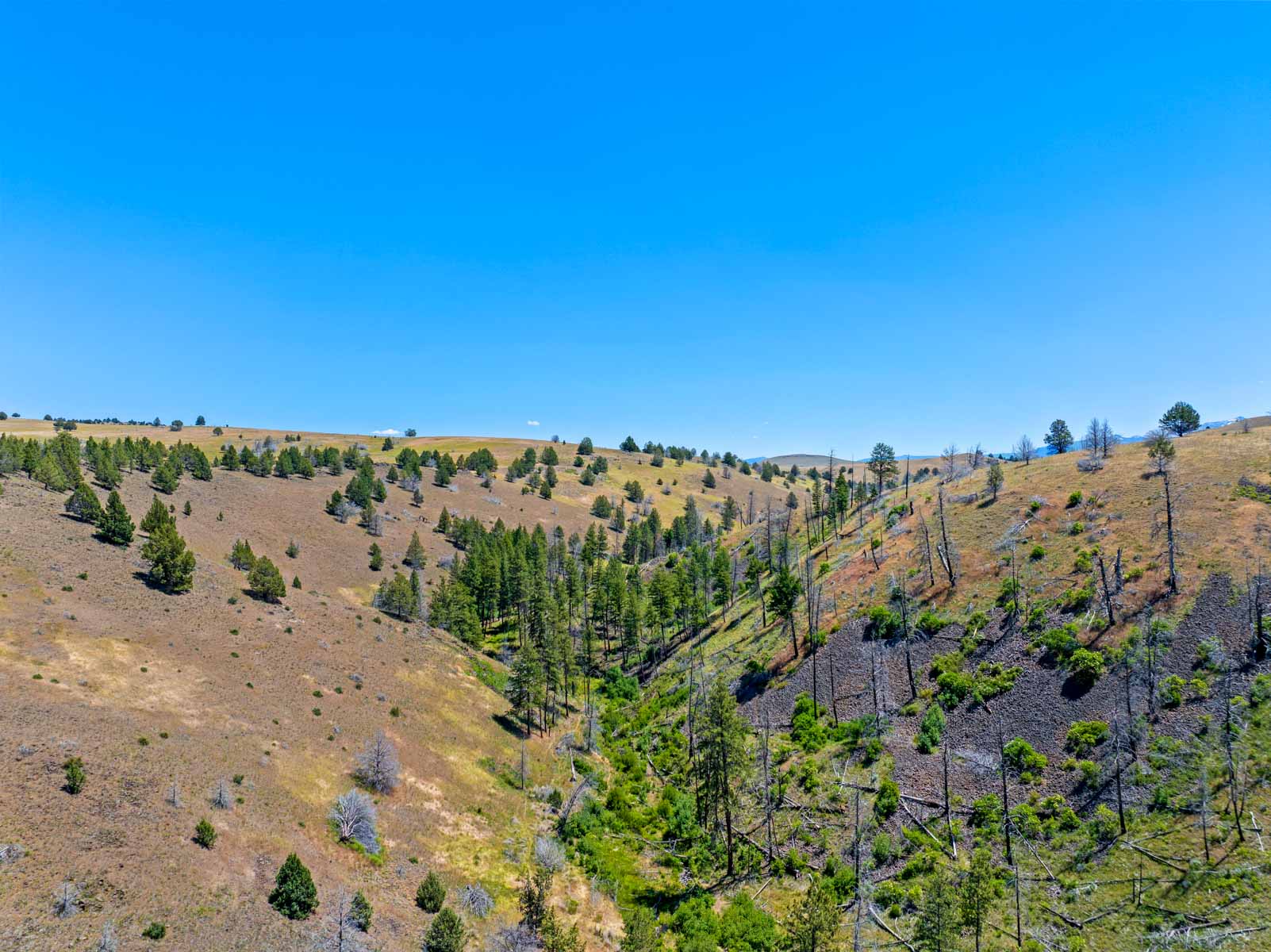 Little Beech Creek North property picture 15 of 56