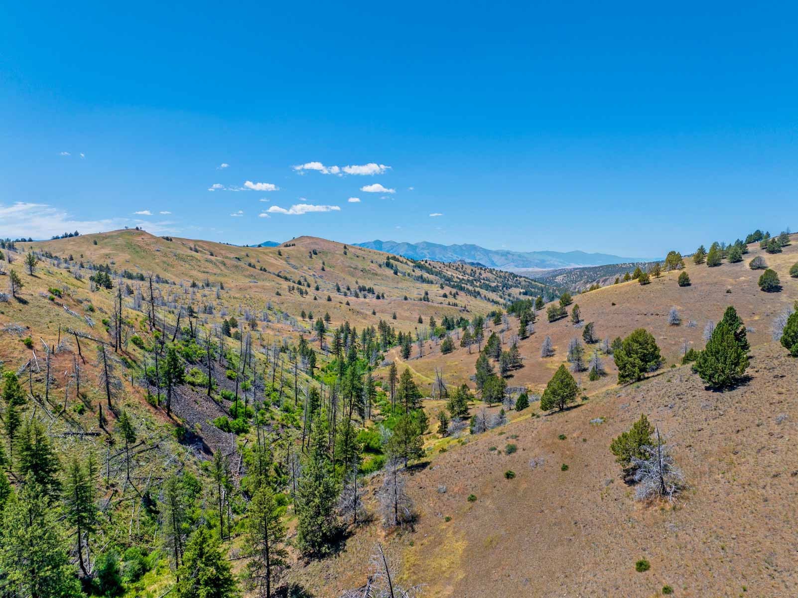 Little Beech Creek North property picture 13 of 56