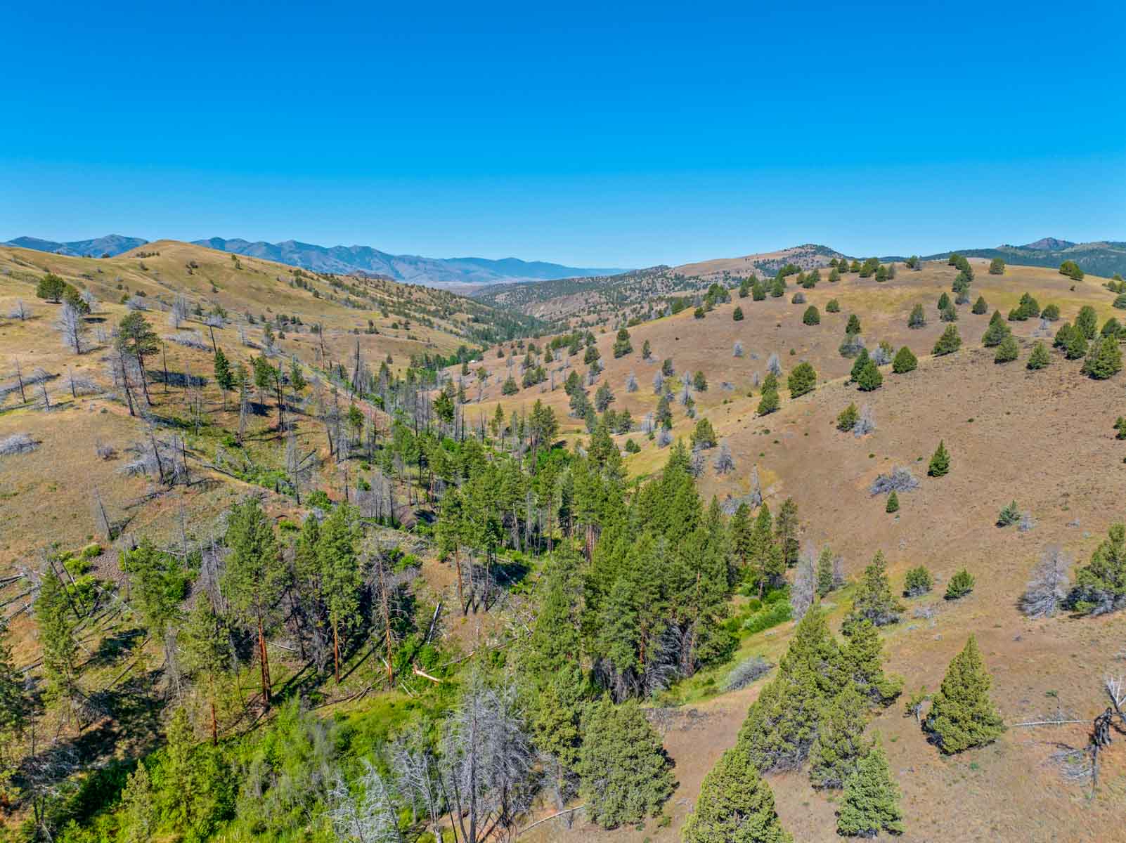 Little Beech Creek North property picture 37 of 56