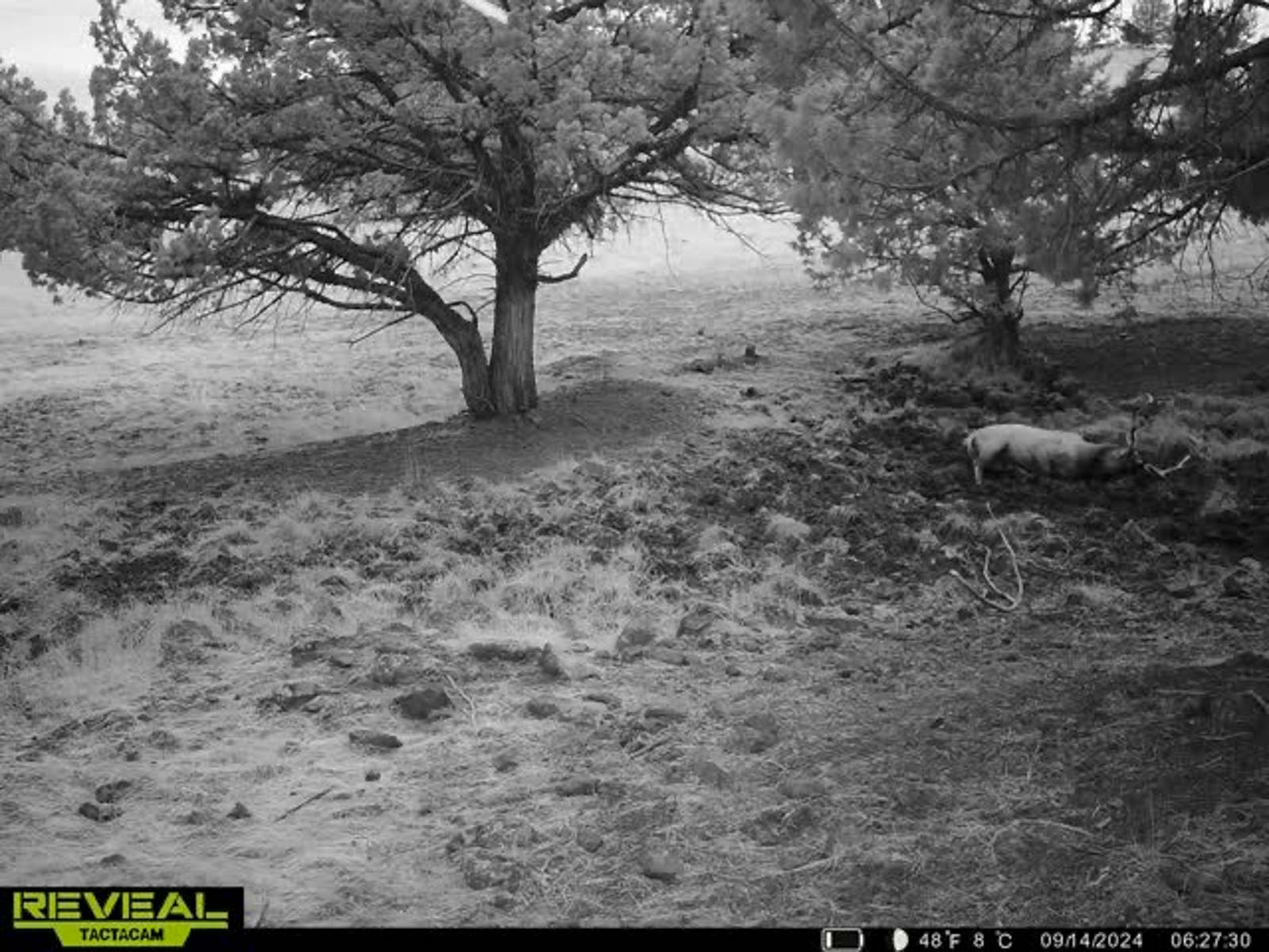 Little Beech Creek North property picture 25 of 56