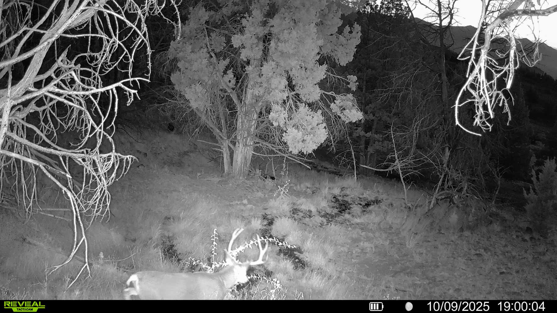 Little Beech Creek North property picture 32 of 56