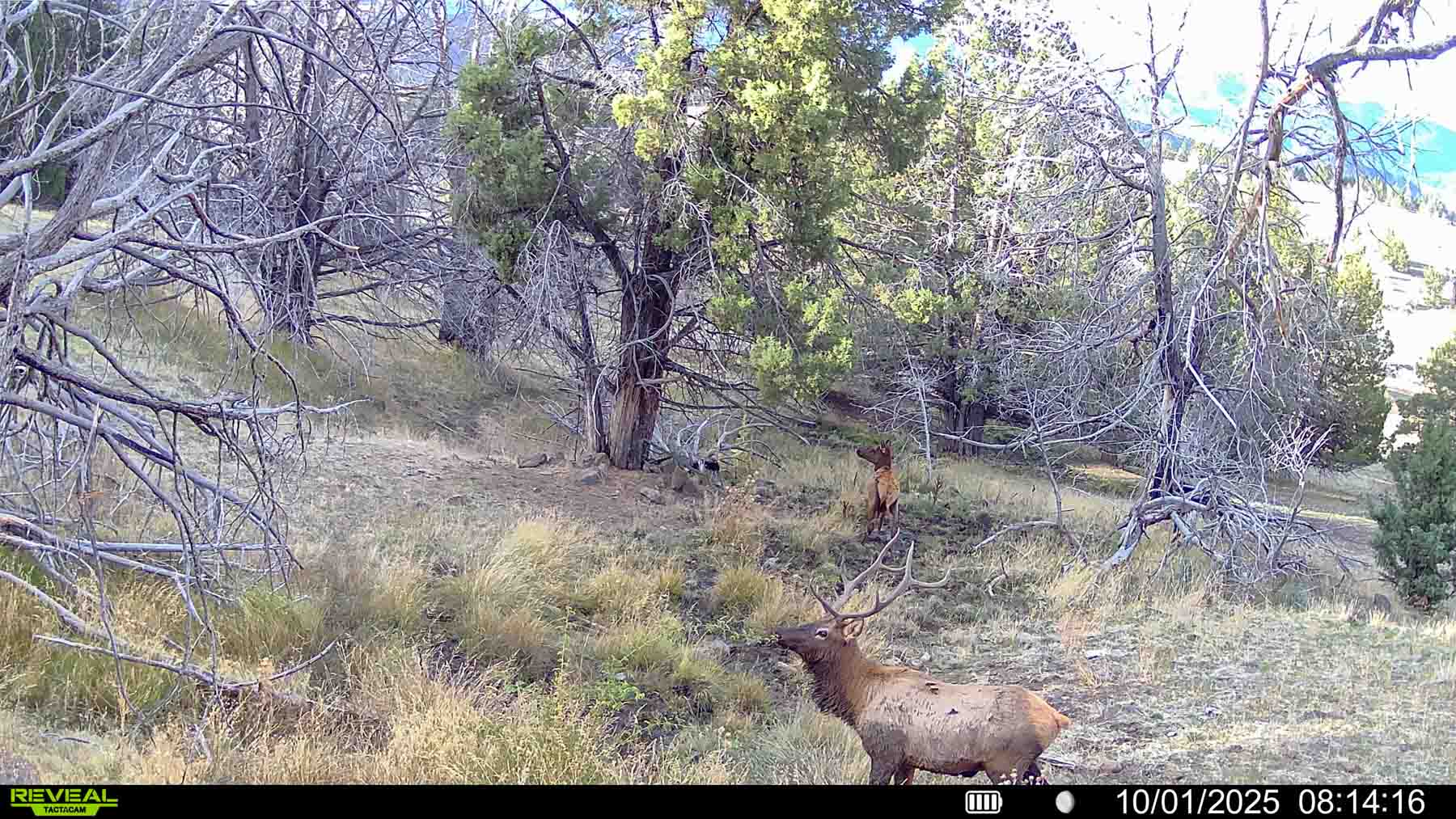 Little Beech Creek North property picture 28 of 56